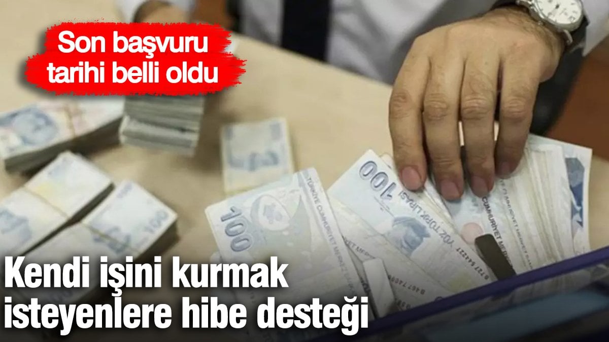 kendi-isini-kurmak-isteyenlere-hibe-destegi-son-basvuru-tarihi-belli-oldu-v2n8WGaK.jpg